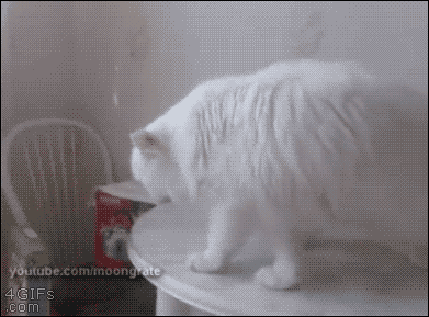 hornoxe.com_gifdump164_18.gif