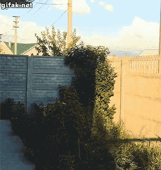 hornoxe.com_gifdump191_20.gif