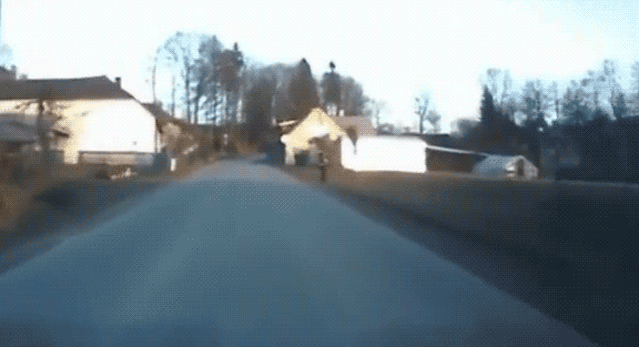 hornoxe.com_gifdump149_9.gif