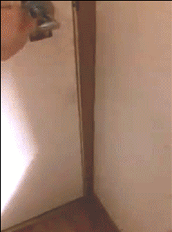 hornoxe.com_gifdump223_27.gif