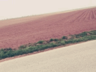 tumblr_mlkgdihCdr1rl04sso1_250.gif