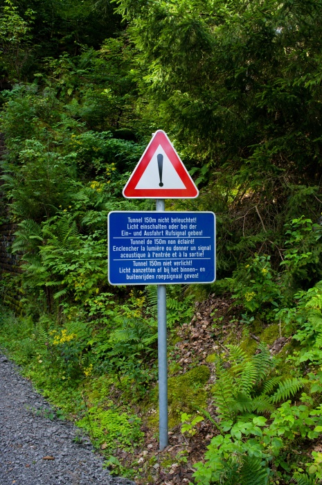 large_IMGP6752.jpg