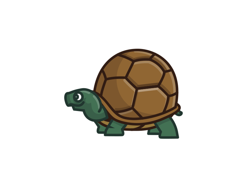 turtle.gif