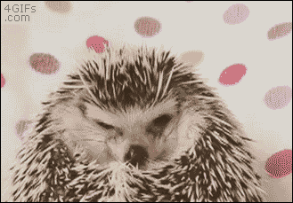 26287_008.gif