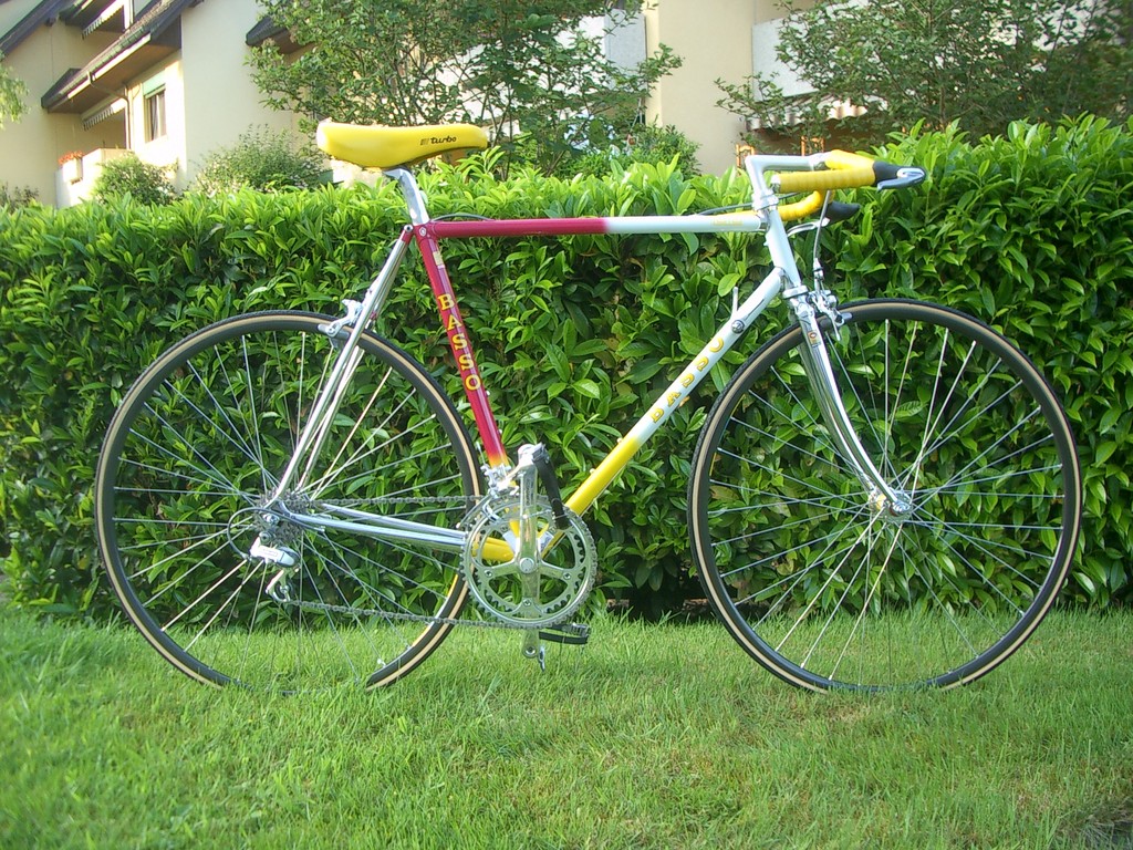 IMGP4911.JPG