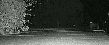 hornoxe.com_gifdump191_19.gif