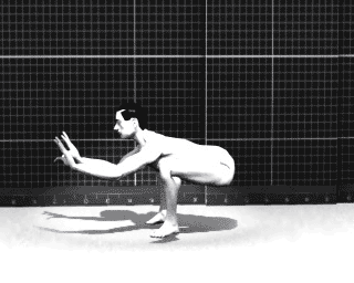 animated-gifs-36-12.gif