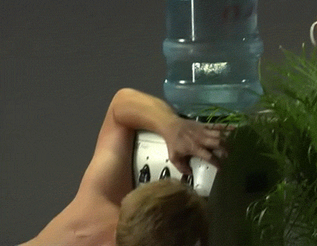 hornoxe.com_gifdump176_21.gif