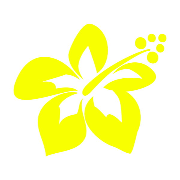 hannes-hawaii-shop.de