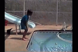 21.gif