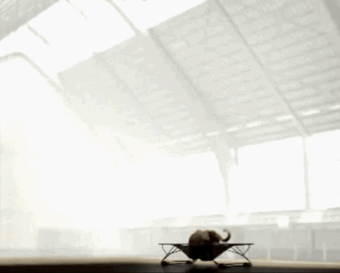 U_20_718220417694_9f73aa2cc735a0a9653cd437200d20e7405cde89_m.gif