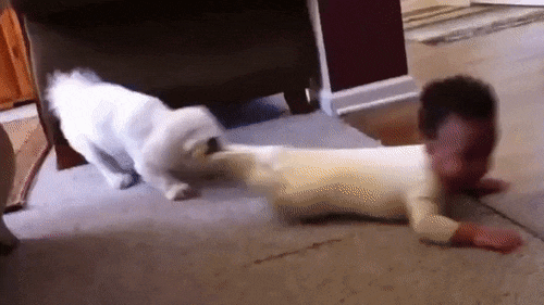 10.gif