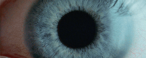 tumblr_nepy7aBGhe1tkhcdao3_500.gif