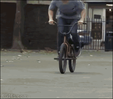 23751_014.gif