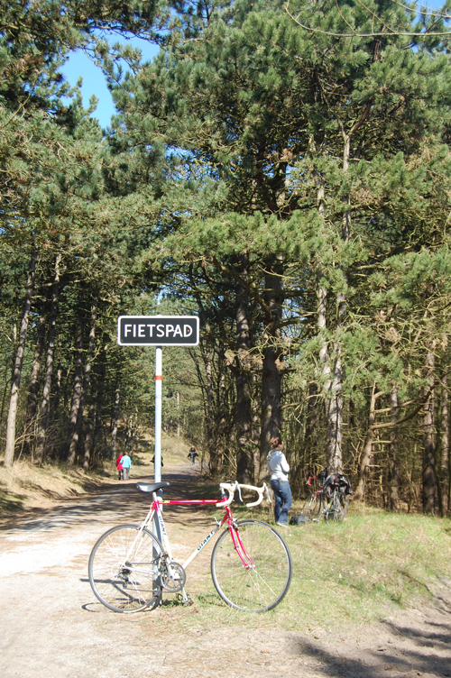 DSC_0032.JPG