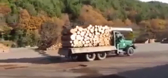 hornoxe.com_gifdump227_10.gif