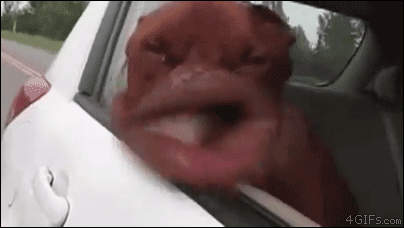 26287_010.gif