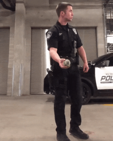 hornoxe.com_gifdump284_9.gif