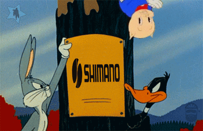 tumblr_nf8z1fl6ur1qbw072o1_1280.gif