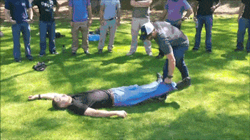 22870_010.gif