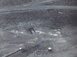 200.gif