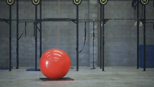 36.gif