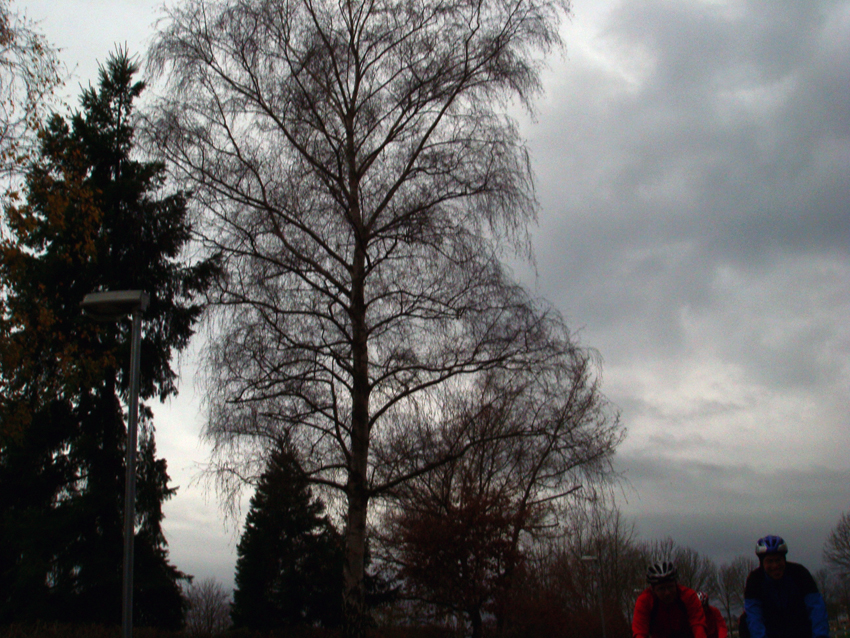 DSC02435.JPG