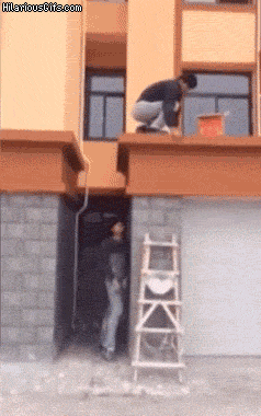 25434_016.gif