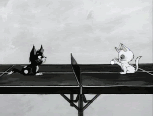 Animated_moving_cats_playing-ping_pong.gif