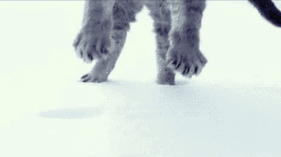 hornoxe.com_gifdump186_18.gif