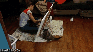 24.gif