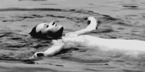 7581014.gif