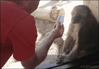 hornoxe.com_gifdump204_24.gif