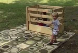 24745_009.gif