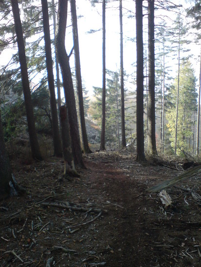DSC00011c.JPG