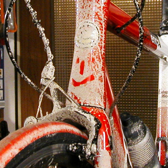 P1010025q.jpg