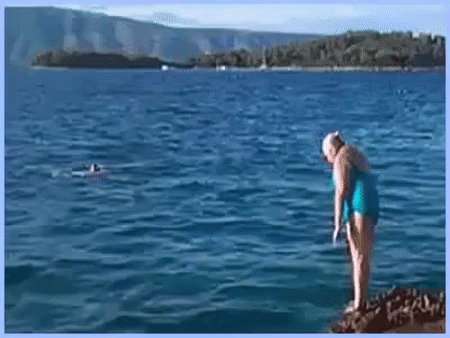 02.gif