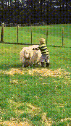 08.gif