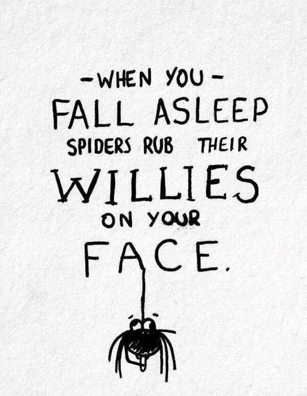 When-you-fall-asleep-spiders-rub-their-willies-on-your-face-2014-04-03-20.28.40.png