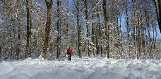 medium_im_Schnee.jpg