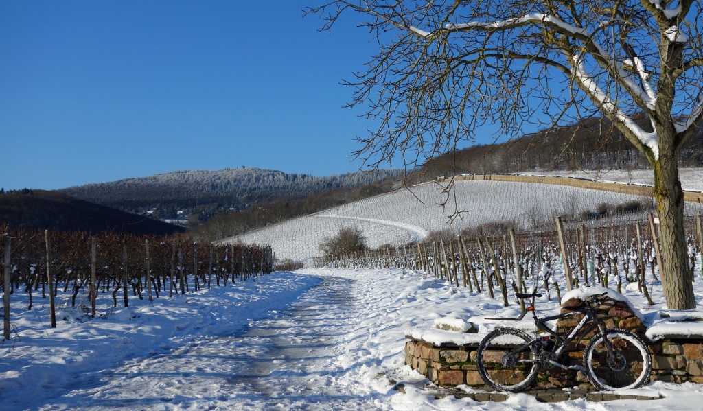 large_Schneegestber3.jpg