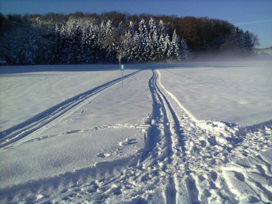 medium_Ski2012a.jpg