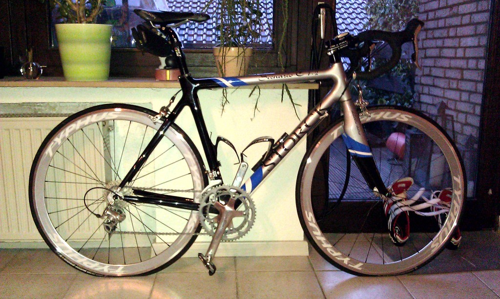 Storck_v01.jpg