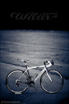 11208_0098_wilier.jpg