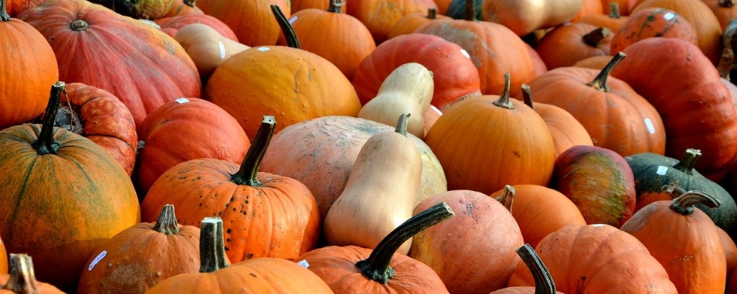 pumpkins-by-condesign-pixabay-CC0_1036-1036x414.jpg