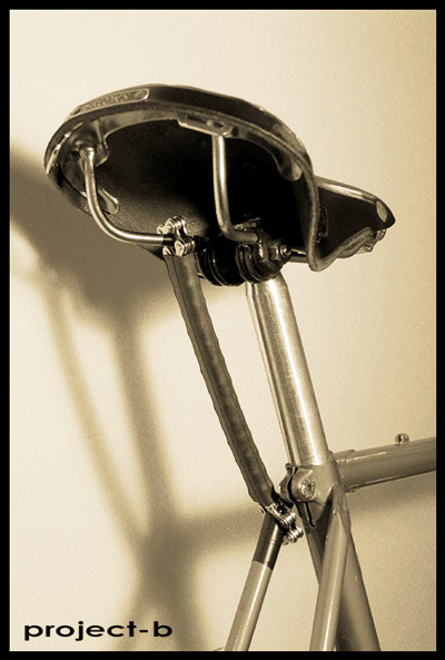 project-b-pic-of-chain-through-saddle.jpg