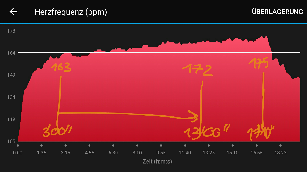 herzfrequenz-test-5-runden-png.471157