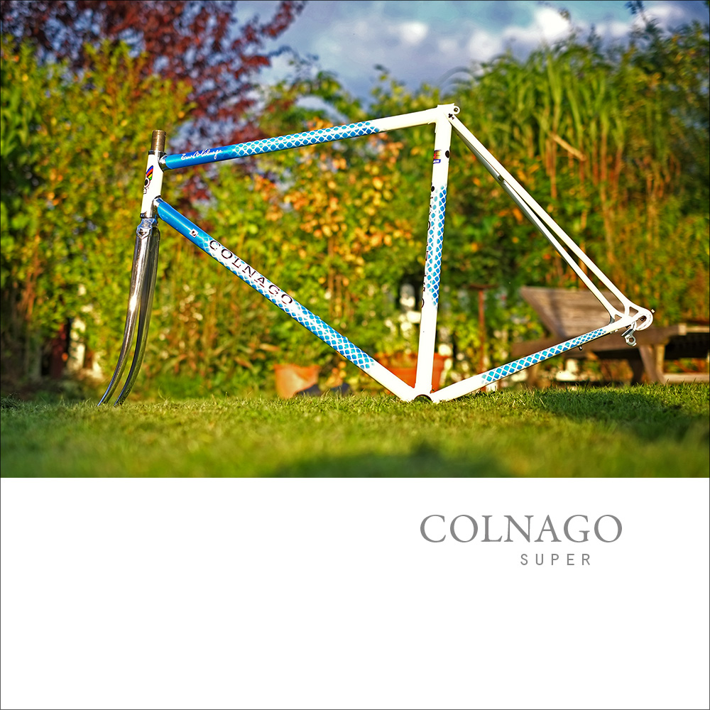 large_Colnago_1.jpg