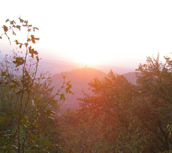 468430-ffz5dh0s12e8-2018_10_11_sonnenunterdrachenfelskl-medium.jpg