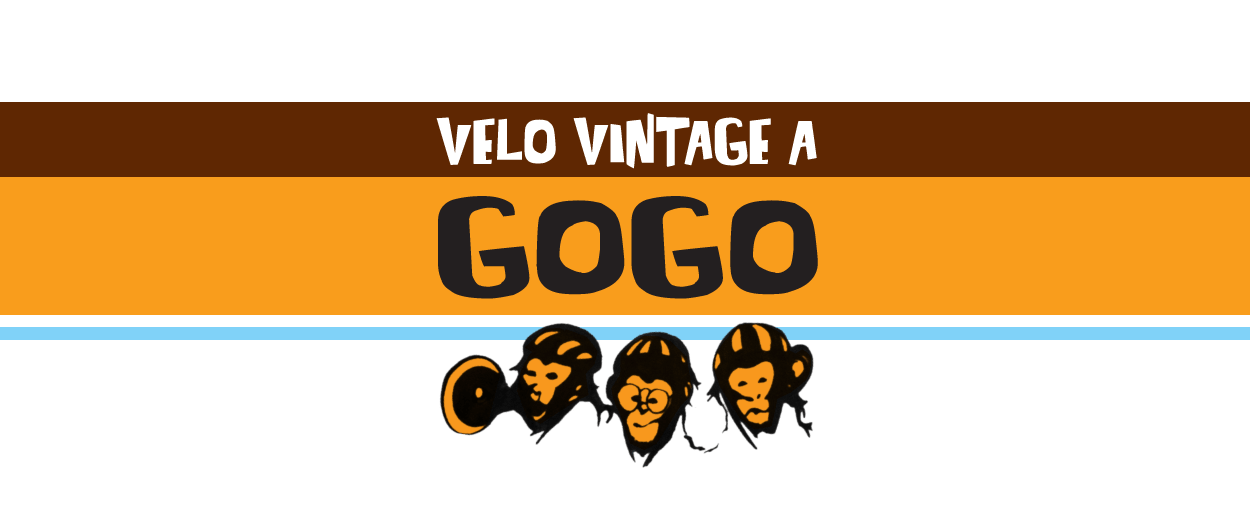 www.velovintageagogo.com